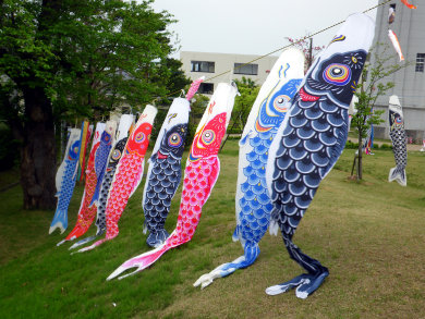 sharan144002.jpg