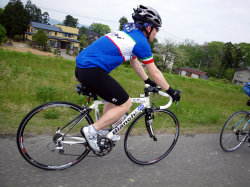 sharan146006.jpg