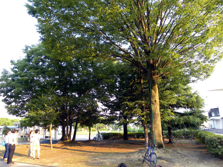 sharan151003.jpg