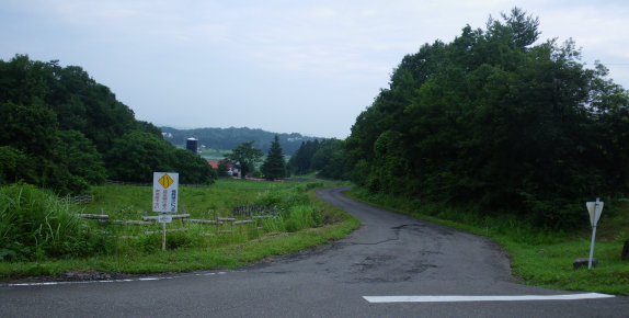 sharan157001.jpg
