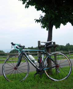 sharan157002.jpg