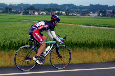 sharan160004.jpg