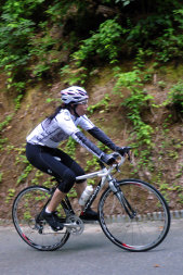 sharan161002.jpg