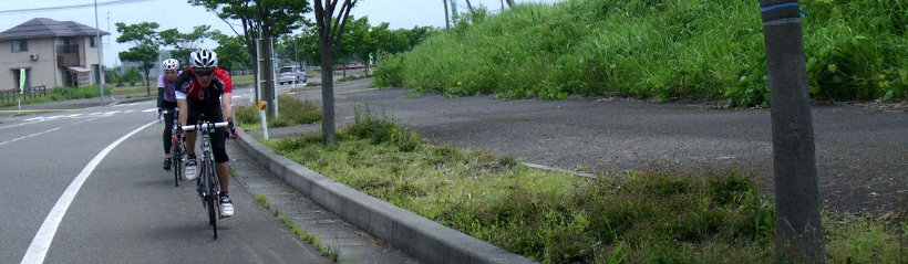 sharan199009.jpg