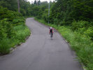 sharan200005.jpg
