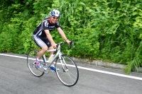 sharan200011.jpg