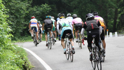 sharan201002.jpg