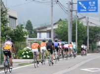 sharan201006.jpg