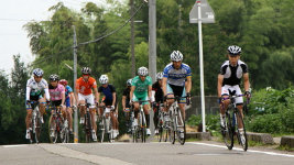 sharan201007.jpg