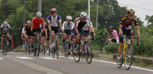 sharan201008.jpg
