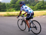 sharan203007.jpg