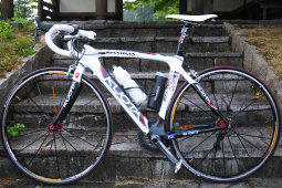 sharan204008.jpg