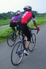 sharan204009.jpg