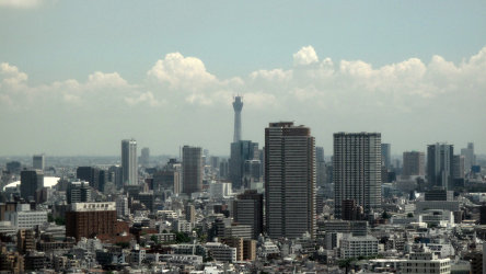 sharan205011.jpg