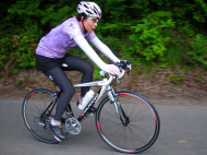 sharan206004.jpg
