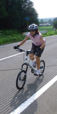 sharan207001.jpg
