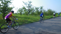 sharan207028.jpg