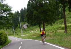 sharan230003.jpg
