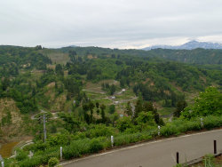 sharan230004.jpg