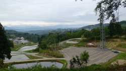 sharan230005.jpg