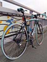 sharan234004.jpg