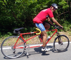 sharan238004.jpg