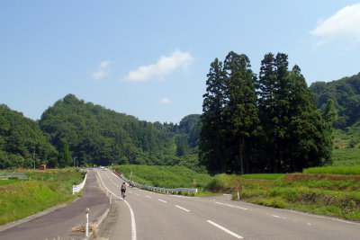 sharan239007.jpg