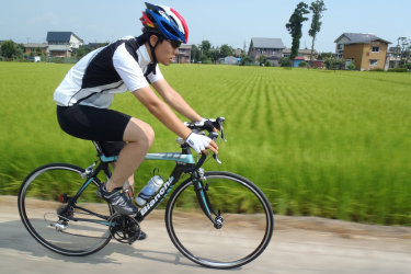 sharan264004.jpg