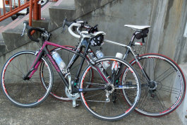 sharan265001.jpg