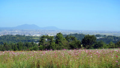 sharan265004.jpg