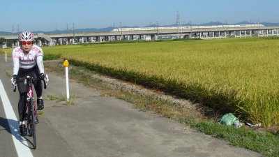 sharan265005.jpg