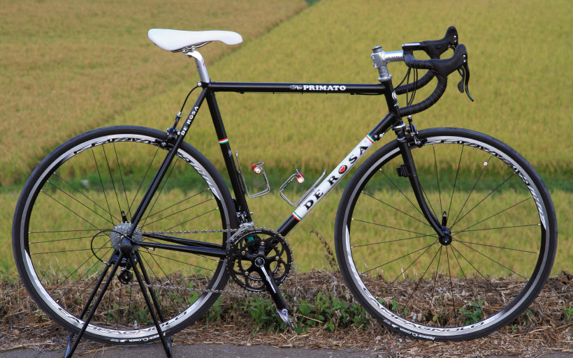 sharan266004.jpg