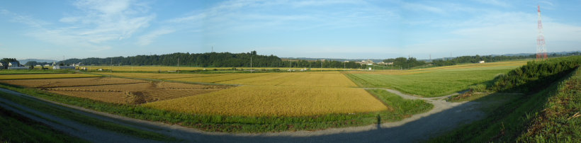 sharan267001.jpg