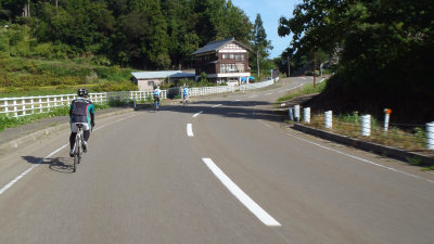 sharan268010.jpg