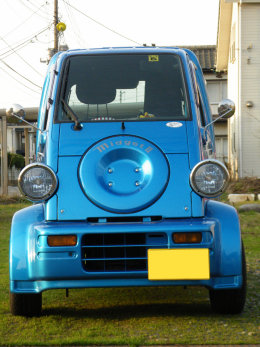sharan767002.jpg