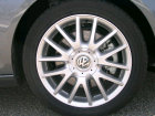 sharan042003.jpg
