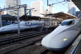 sharan826005.jpg