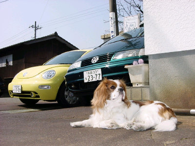 sharan850002.jpg