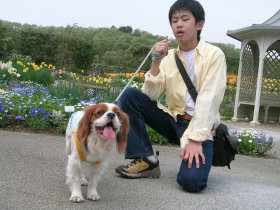 sharan852010.jpg