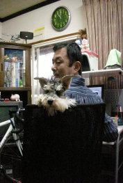 sharan858003.jpg